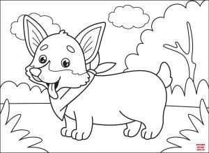 Köpek boyama sayfası, Dog coloring page, , dogs corgi 