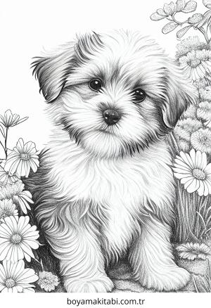 Köpek Boyama