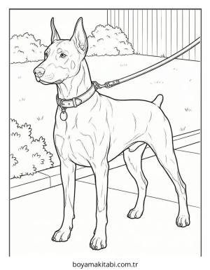 Köpek Boyama