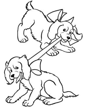 Köpek boyama sayfası, Dog coloring page, Çift Köpek Sevimli, 