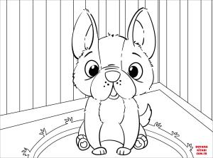 Köpek boyama sayfası, Dog coloring page, , dogs cute bulldog 