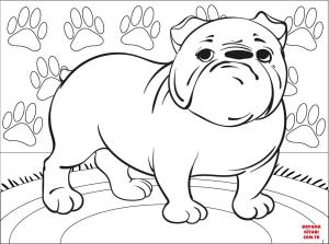 Köpek boyama sayfası, Dog coloring page, , dogs bulldog 
