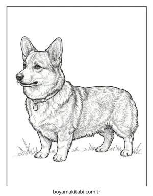 Köpek boyama sayfası – keyifli zaman, renkli çizimler