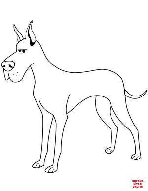 Köpek boyama sayfası, Dog coloring page, , dogs funny great dane 