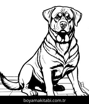 Köpek boyama sayfası, Dog coloring page, , 39)