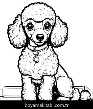 Köpek boyama sayfası, Dog coloring page, , 5)