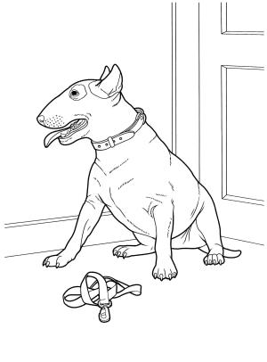 Köpek boyama sayfası, Dog coloring page, , dogs bull terrier 
