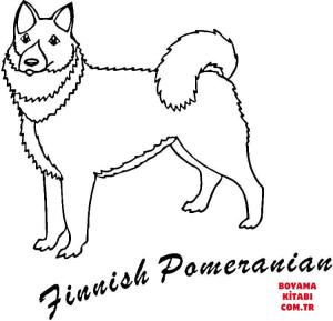 Köpek boyama sayfası, Dog coloring page, , dogs finnish pomeranian 