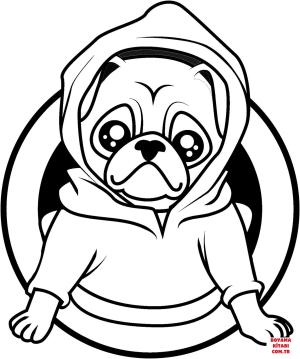 Köpek boyama sayfası, Dog coloring page, , dogs pug in a hoodie 