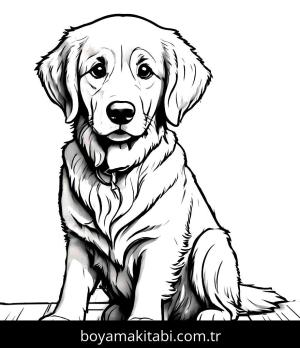 Köpek boyama sayfası, Dog coloring page, , 38)
