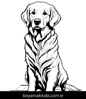 Köpek boyama sayfası, Dog coloring page, , 37)