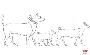 Köpek boyama sayfası, Dog coloring page, , dogs ancient egyptian dogs 