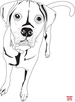 Köpek boyama sayfası, Dog coloring page, , dogs rhodesian ridgeback 