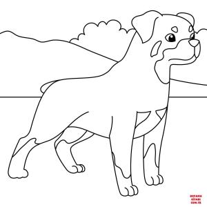 Köpek boyama sayfası, Dog coloring page, , dogs rottweiler 