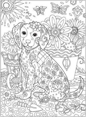 Köpek boyama sayfası, Dog coloring page, Köpek Yetişkin Içindir, 