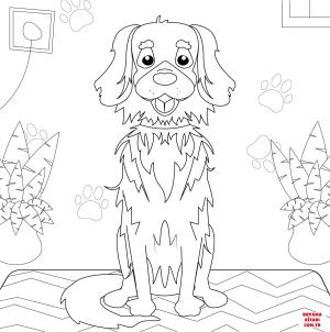 Köpek boyama sayfası, Dog coloring page, , dogs retriever 