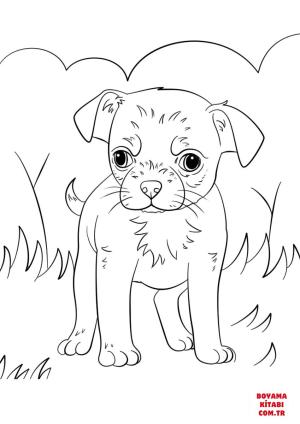 Köpek boyama sayfası, Dog coloring page, , dogs chihuahua puppy 