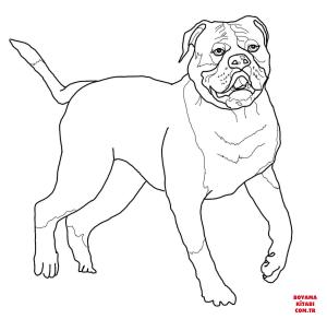 Köpek boyama sayfası, Dog coloring page, , dogs american bulldog 