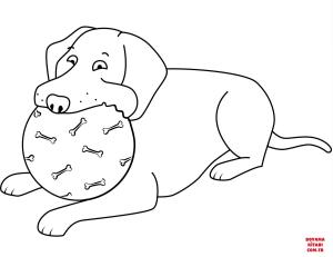 Köpek boyama sayfası, Dog coloring page, , dogs funny labrador retriever playing ball 