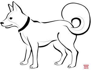 Köpek boyama sayfası, Dog coloring page, , dogs eskimo dog 