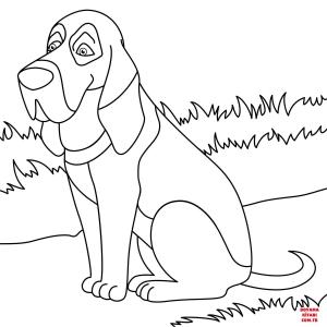 Köpek boyama sayfası, Dog coloring page, , dogs cartoon bloodhound dog 