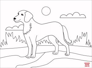 Köpek boyama sayfası, Dog coloring page, , dogs dog 