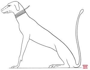 Köpek boyama sayfası, Dog coloring page, , dogs ancient egyptian dog 