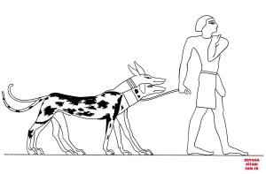 Köpek boyama sayfası, Dog coloring page, , dogs ancient egyptian dogs 