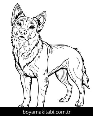 Köpek boyama sayfası, Dog coloring page, , 40)