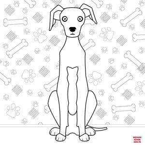Köpek boyama sayfası, Dog coloring page, , dogs greyhound 