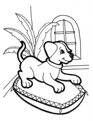 Köpek boyama sayfası, Dog coloring page, Yastık Üzerine Köpek Çiz, 