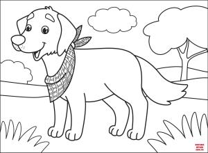 Köpek boyama sayfası, Dog coloring page, , dogs labrador 