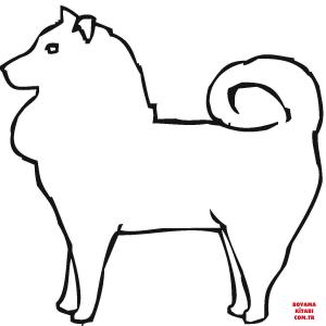 Köpek boyama sayfası, Dog coloring page, , dogs pomeranian 