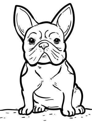 Köpek boyama sayfası, Dog coloring page, Oturan Pug Köpek, 