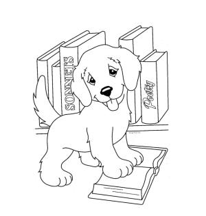 Köpek boyama sayfası, Dog coloring page, Köpek Okuma Kitabı Çiz, 