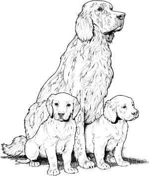 Köpek boyama sayfası, Dog coloring page, , dogs labrador with puppies 