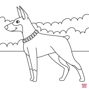 Köpek boyama sayfası, Dog coloring page, , dogs doberman 