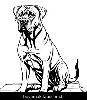 Köpek boyama sayfası, Dog coloring page, , 12)