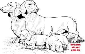 Köpek boyama sayfası, Dog coloring page, , dogs dachshund with puppies 