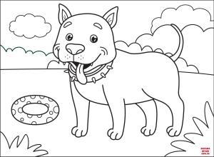 Köpek boyama sayfası, Dog coloring page, , dogs pitbull 