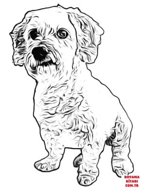 Köpek boyama sayfası, Dog coloring page, , dogs little white dog 