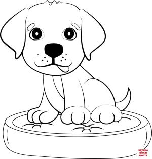 Köpek boyama sayfası, Dog coloring page, , dogs labrador puppy 