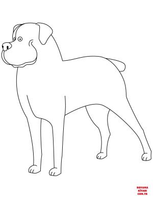 Köpek boyama sayfası, Dog coloring page, , dogs funny rottweiler 