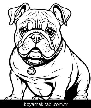 Köpek boyama sayfası, Dog coloring page, , 19)