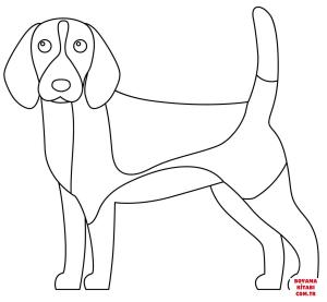 Köpek boyama sayfası, Dog coloring page, , dogs beagle 