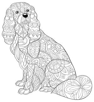 Köpek boyama sayfası, Dog coloring page, Mandala Oturan Köpek, 