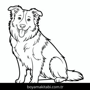 Köpek boyama sayfası – renkli çizimler, okul öncesi