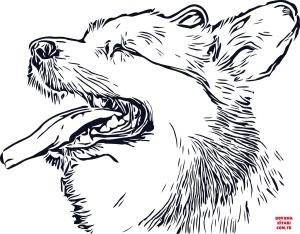 Köpek boyama sayfası, Dog coloring page, , dogs corgi head 