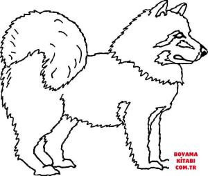 Köpek boyama sayfası, Dog coloring page, , dogs american eskimo dog 