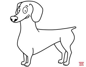 Köpek boyama sayfası, Dog coloring page, , dogs funny dachshund 